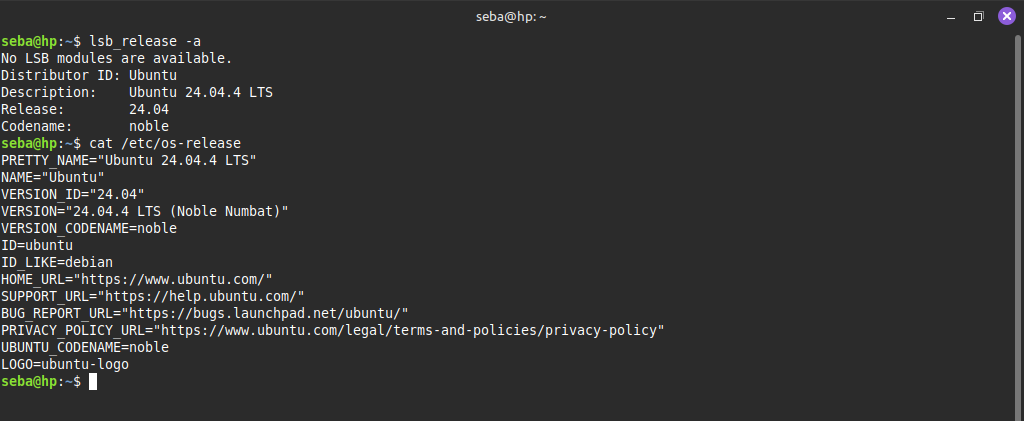 lbs_release -a && cat /etc/os-release